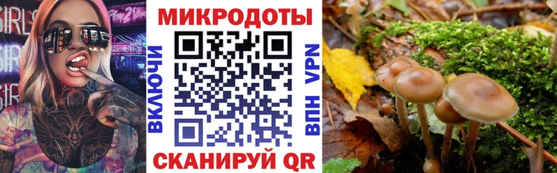 Купить где  Абаза  Псилоцибиновые грибы Psilocybine cubensis 